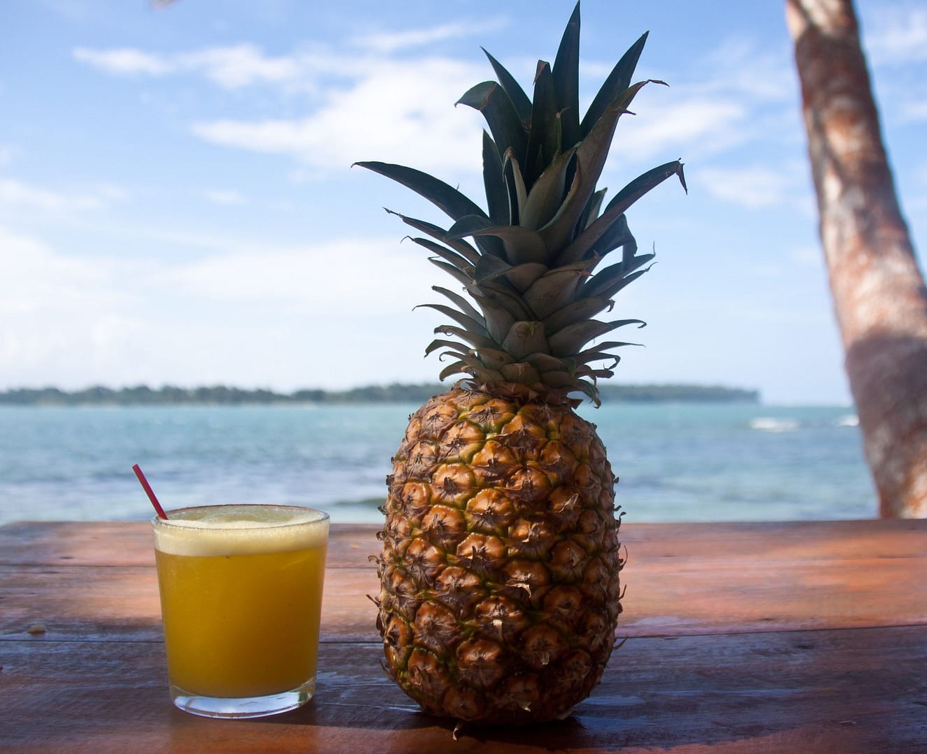 A Guide On Spain Pineapple in Various Foods HOPE MAGZINE